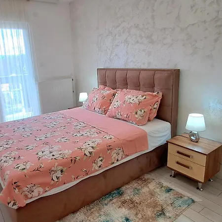 Djuka Apartment Banja Koviljaca