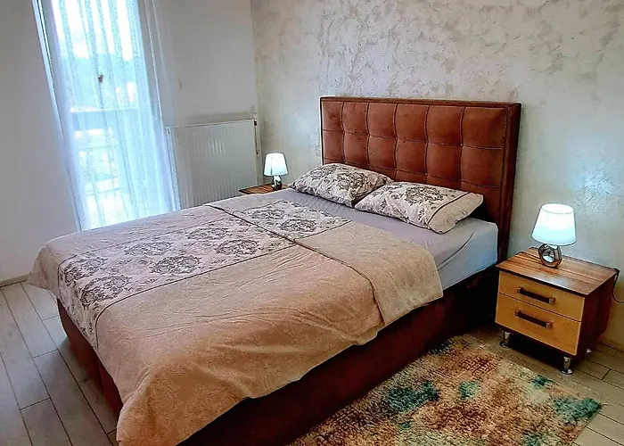 公寓 Djuka Banja Koviljača